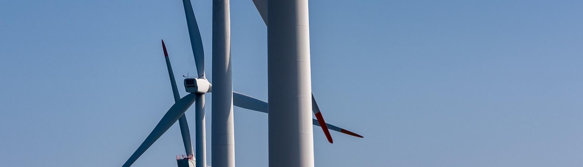 Rechtsanwälte Koblenz Bonn Stuttgart